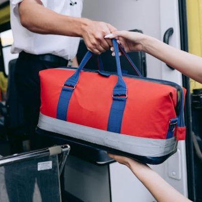 pexels-mikhail-nilov-28123776