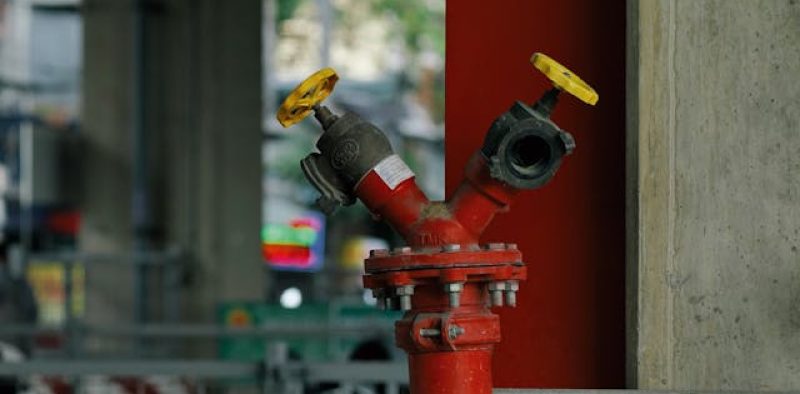 pexels-nguyendesigner-30077783